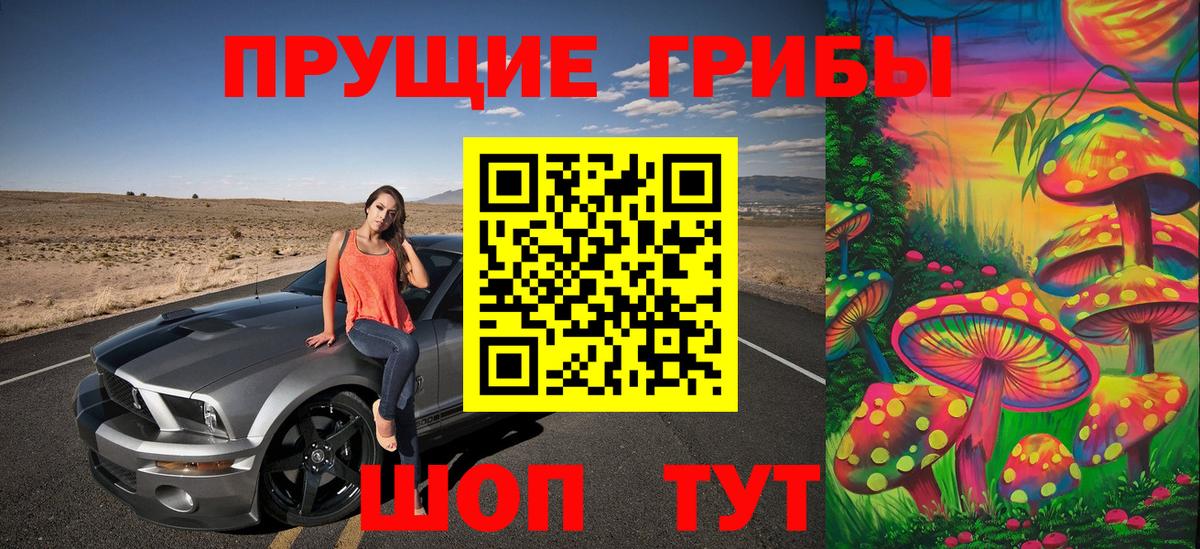 Псилоцибиновые грибы GOLDEN TEACHER Рославль